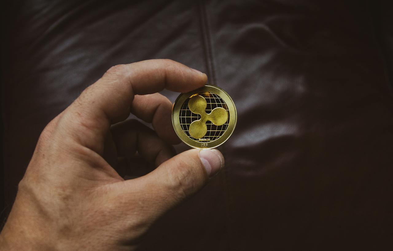 Person Holding Round Gold-colored Coin